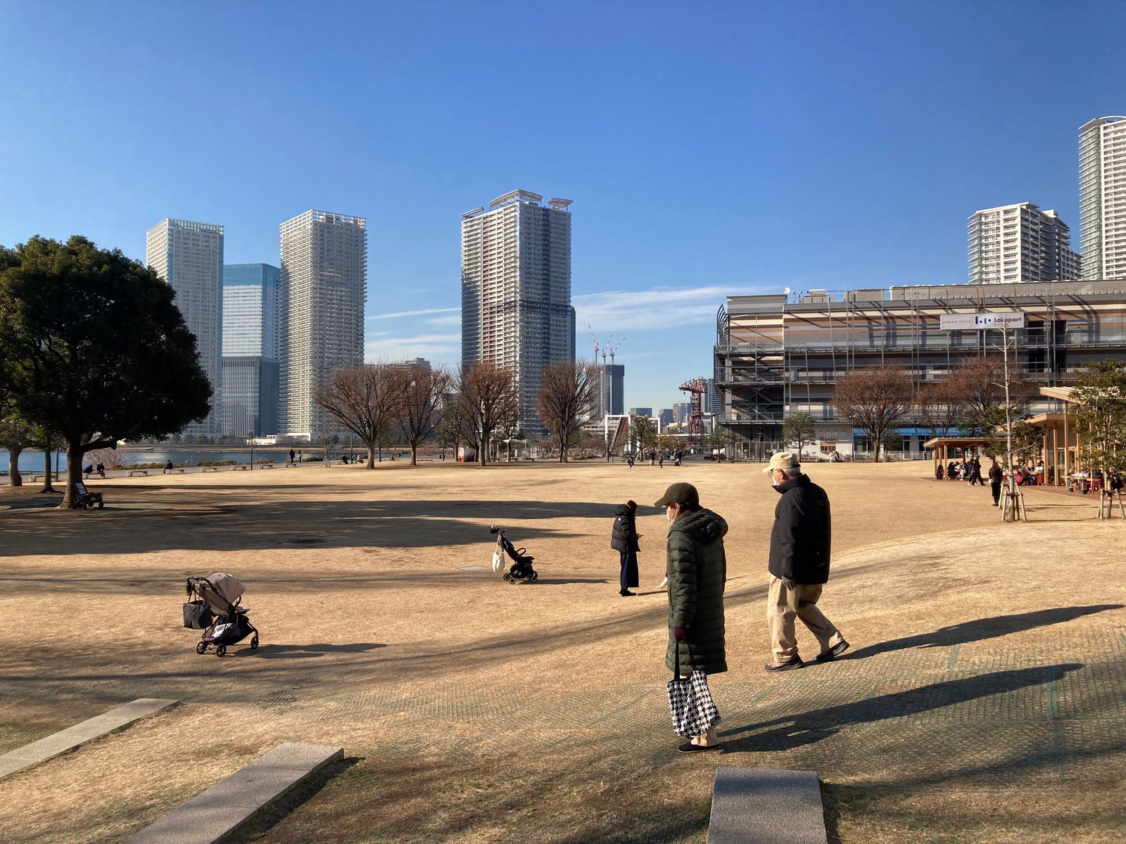 愛犬のための最適な散歩計画